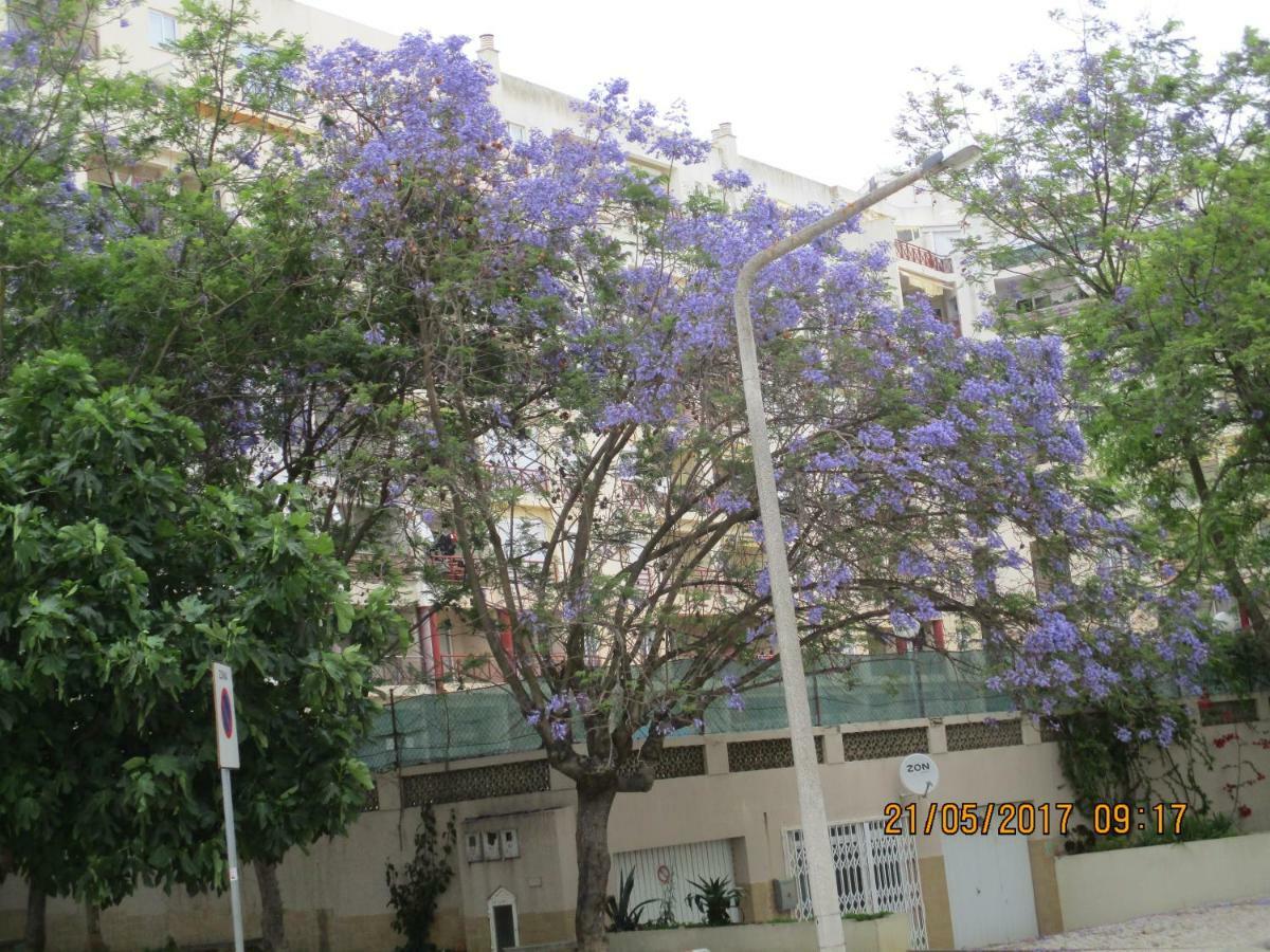 Edificio Caique C Apartment Armacao de Pera Exterior photo